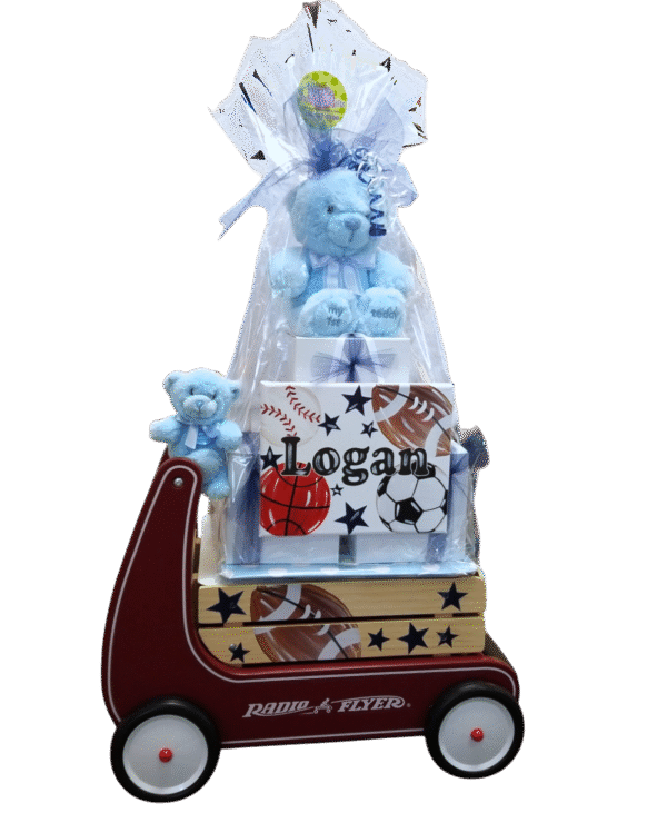 baby boy gift package